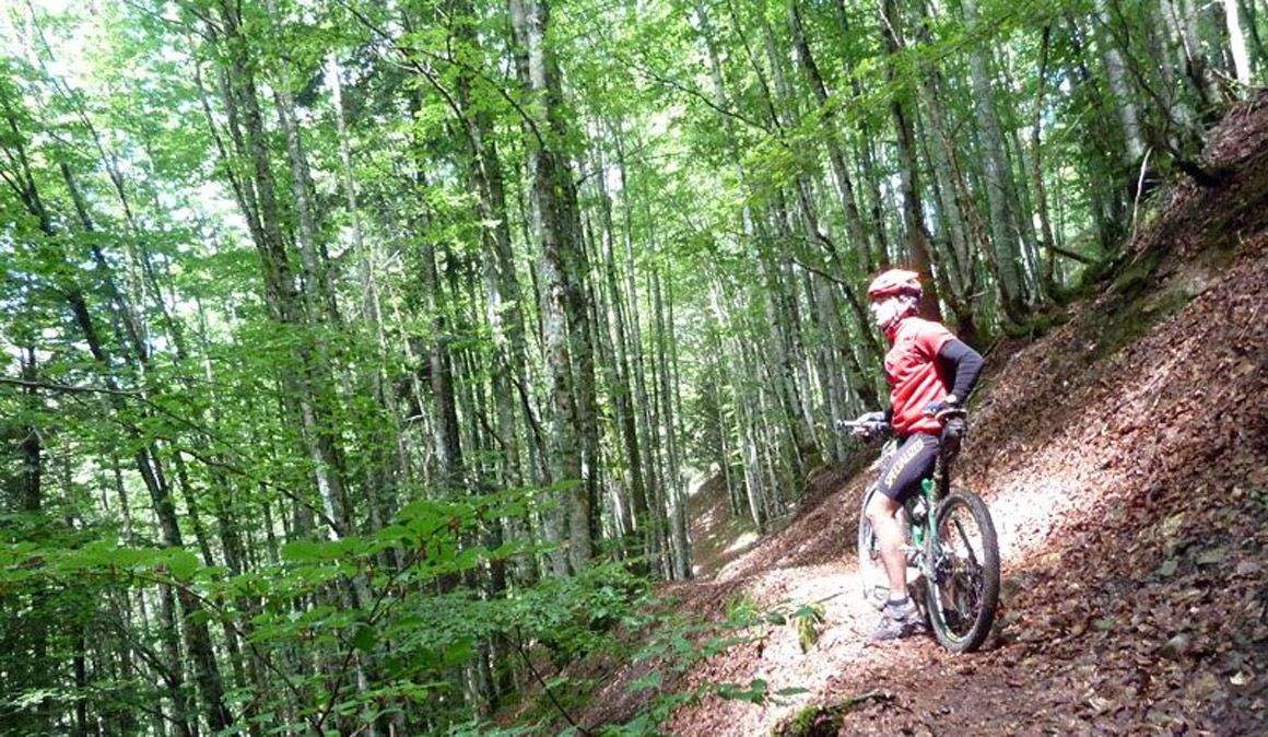 Las mejores rutas para el verano Selva de irati
