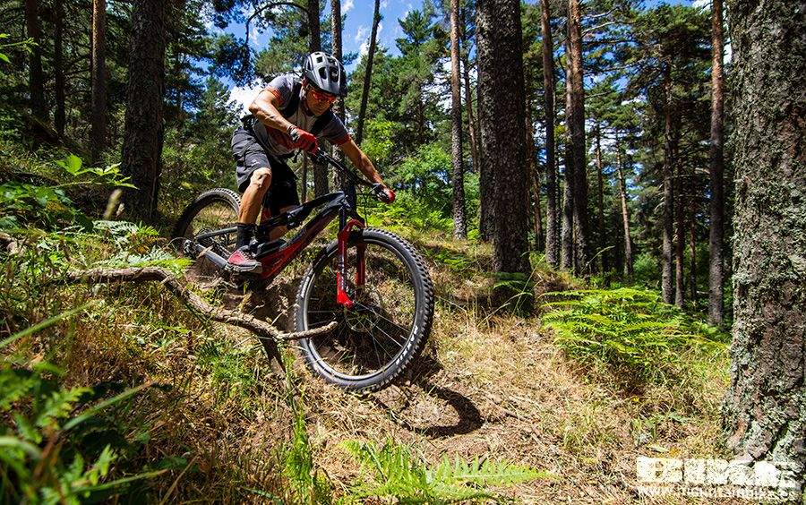 Lapierre GLP2 (43)