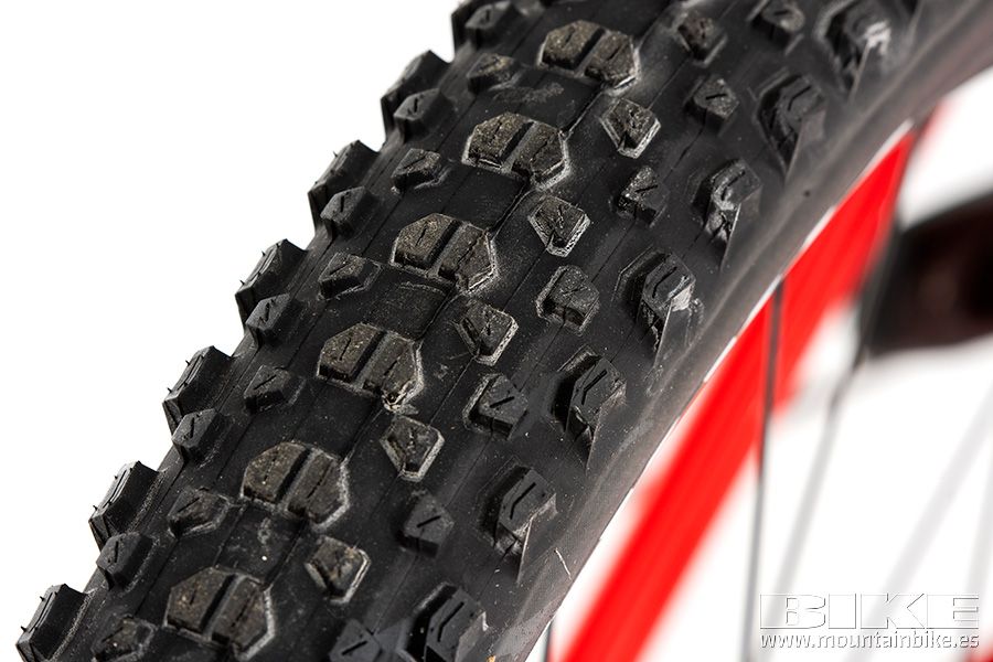 Ghost Lector Superfit Pro 2021 (17)