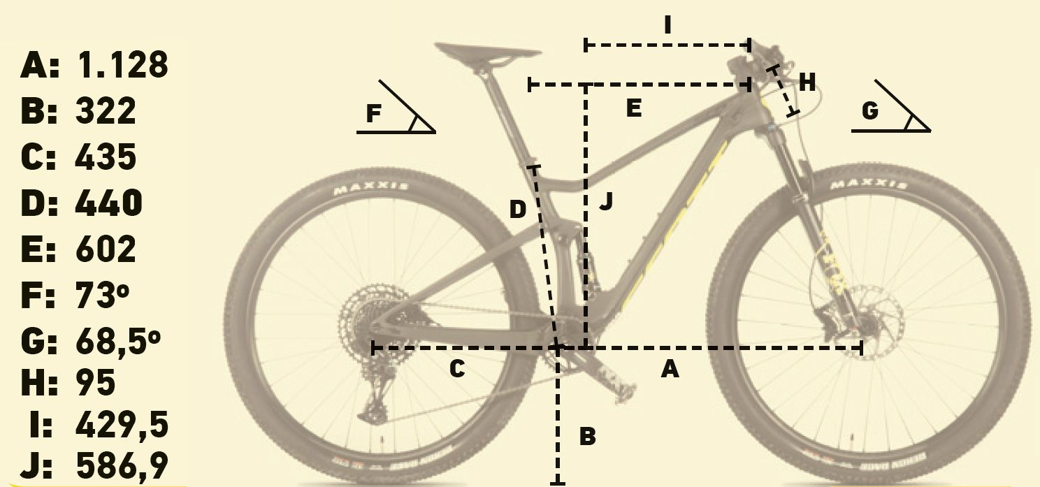 Scott Spark