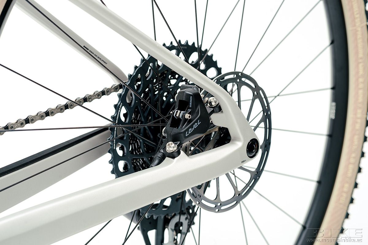 BMC Teamelite estudio (1)