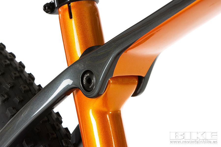 Trek Procaliber 9.8 2021 (17)