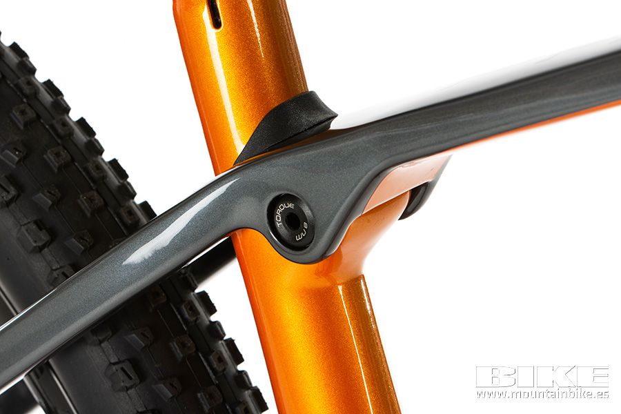 Trek Procaliber 9.8 2021 (18)
