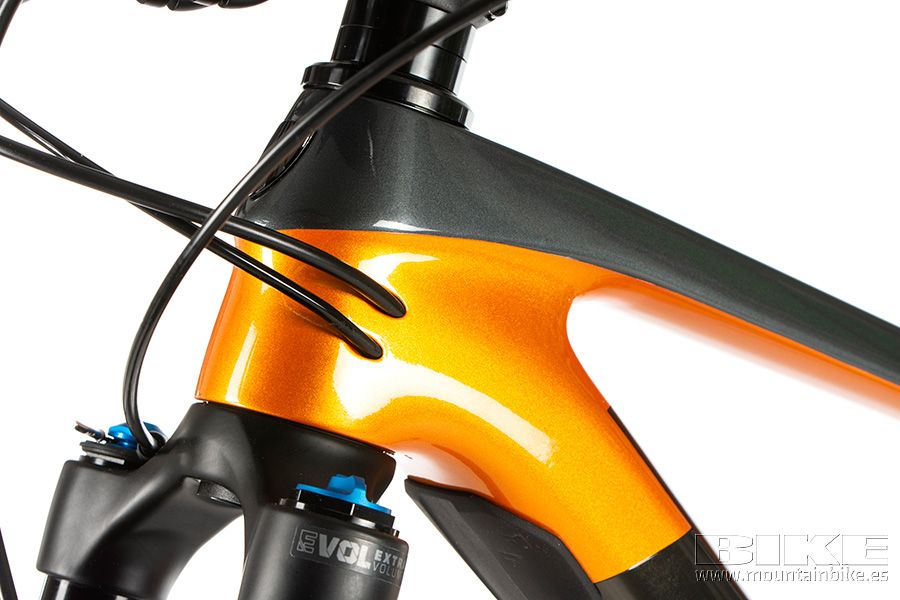 Trek Procaliber 9.8 2021 (31)