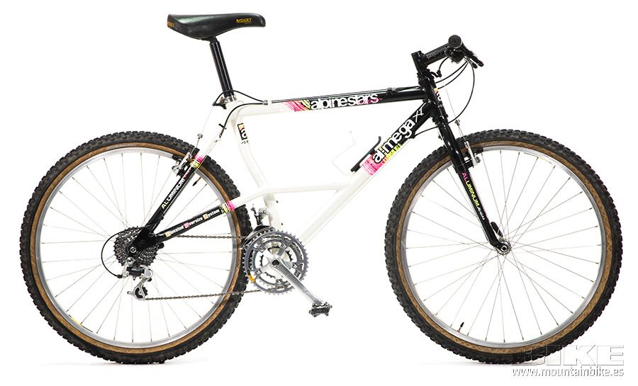 Alpinestars Almega (24)