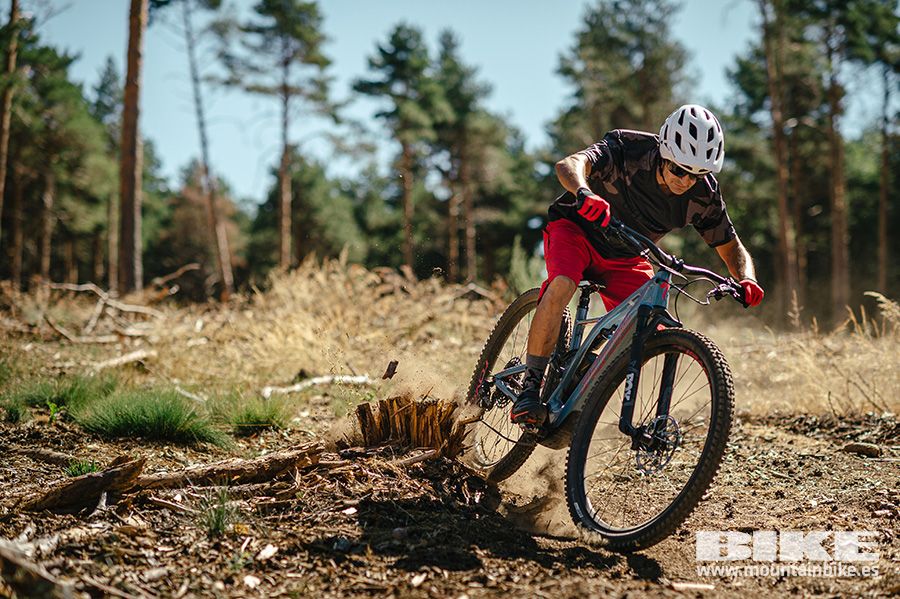 Specialized Turbo Levo 2021 (54)
