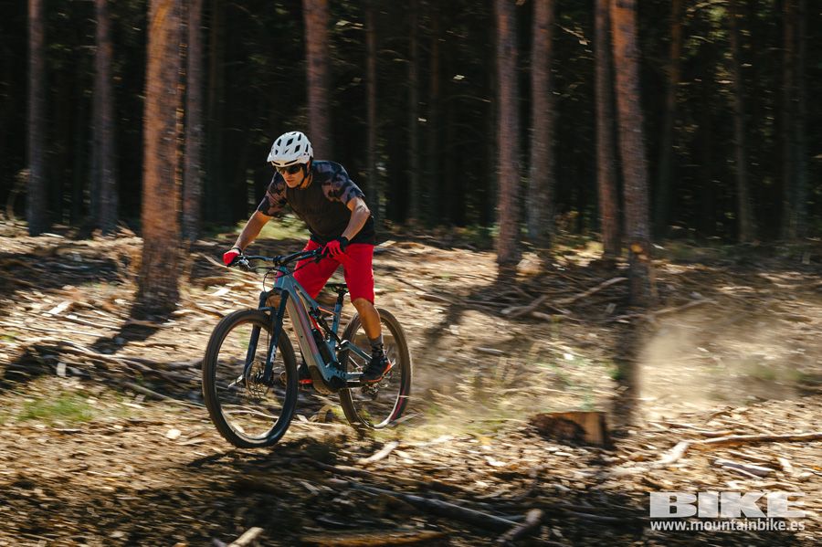 Specialized Turbo Levo 2021 (55)