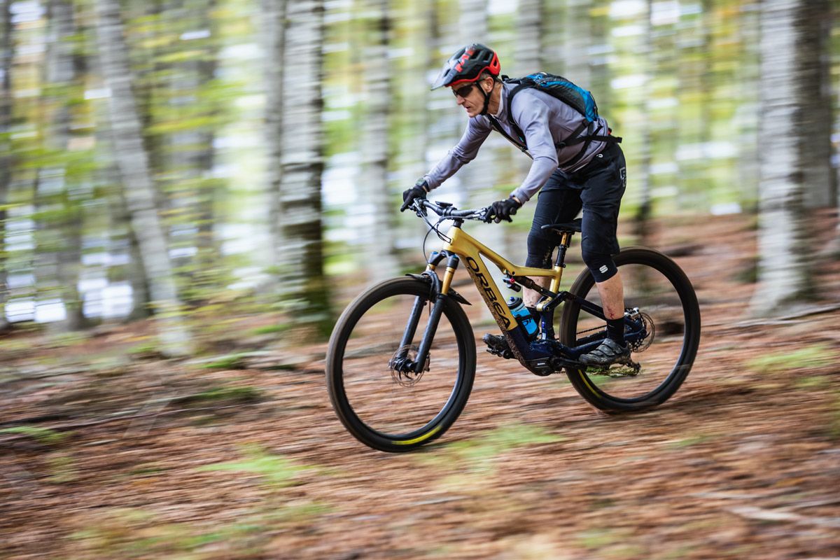 Orbea Rise M Team 10