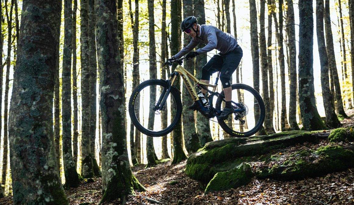 Orbea Rise M Team 7