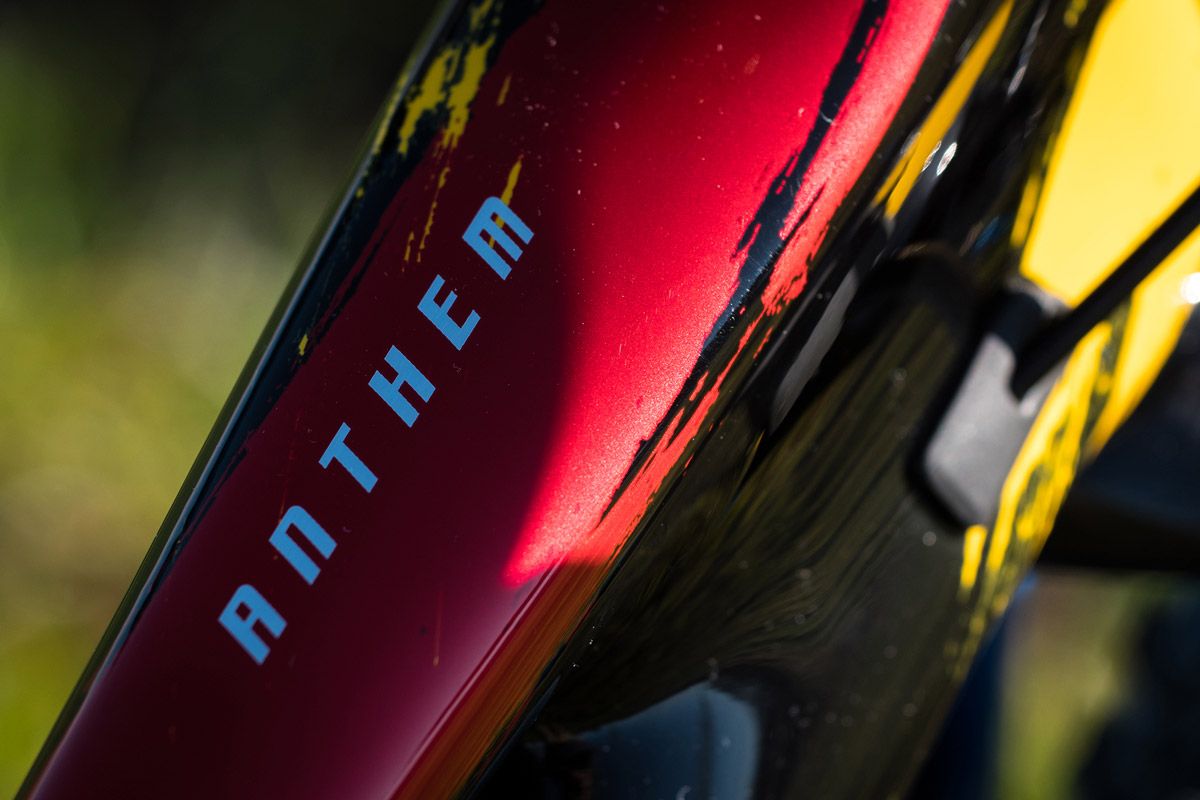 2019. Giant Anthem Advanced Pro 29er Leonardo Páez. Logo