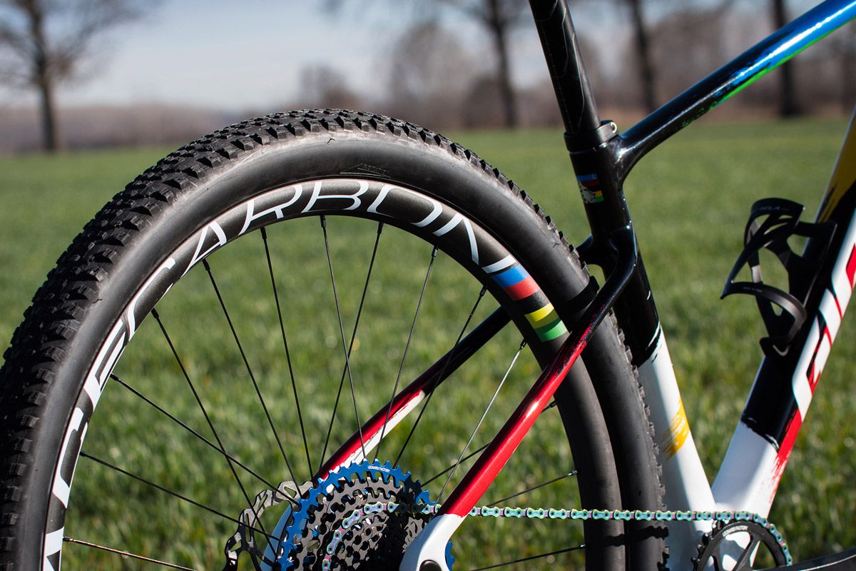 2020. Giant XTC Advanced SL 29er. Detalle trasera