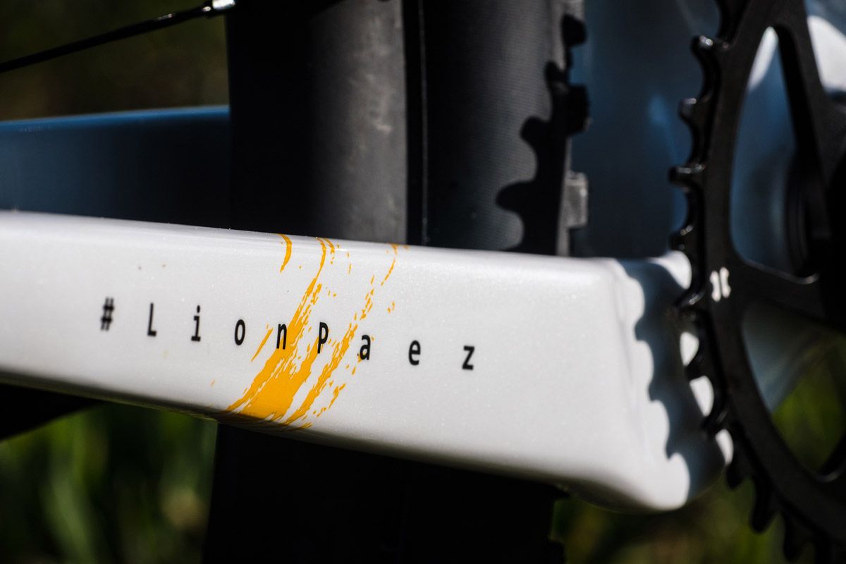 2020. Giant XTC Advanced SL 29er. Detalle vaina