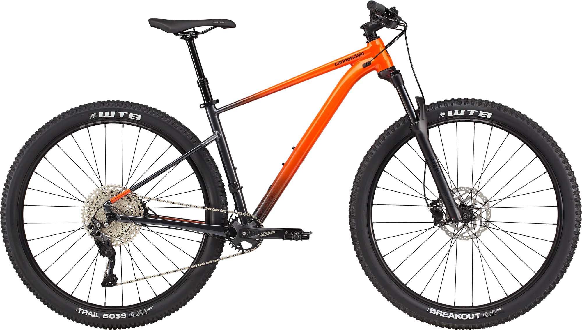Para 2021 Cannondale ha realizado nuevas apuestas, como su gama Trail, y una nueva política de lanzamientos.