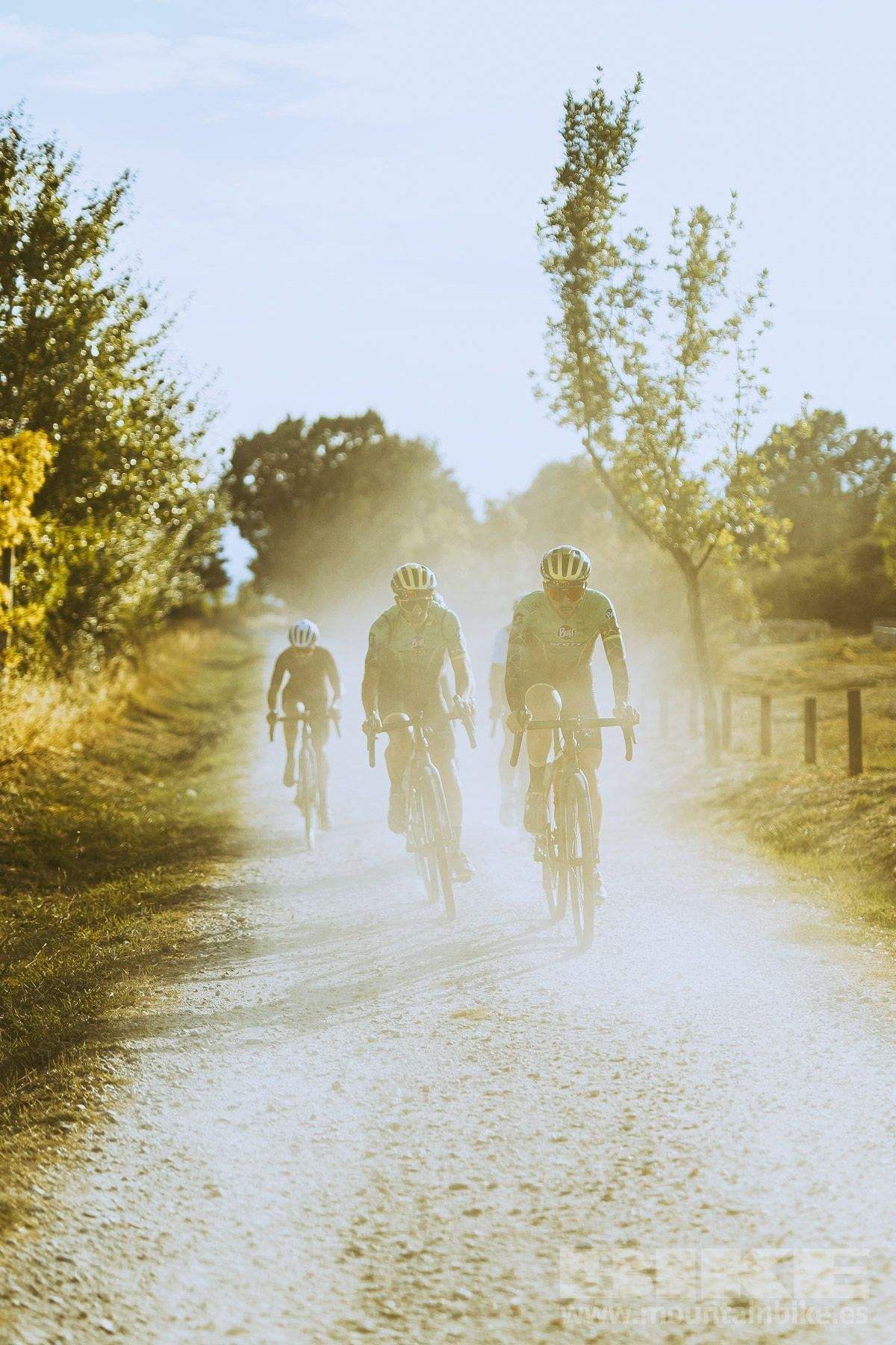 Scott Addict Gravel 10 (9)
