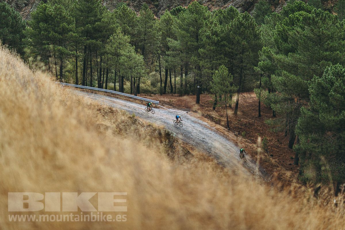 Scott Addict Gravel 10 (12)