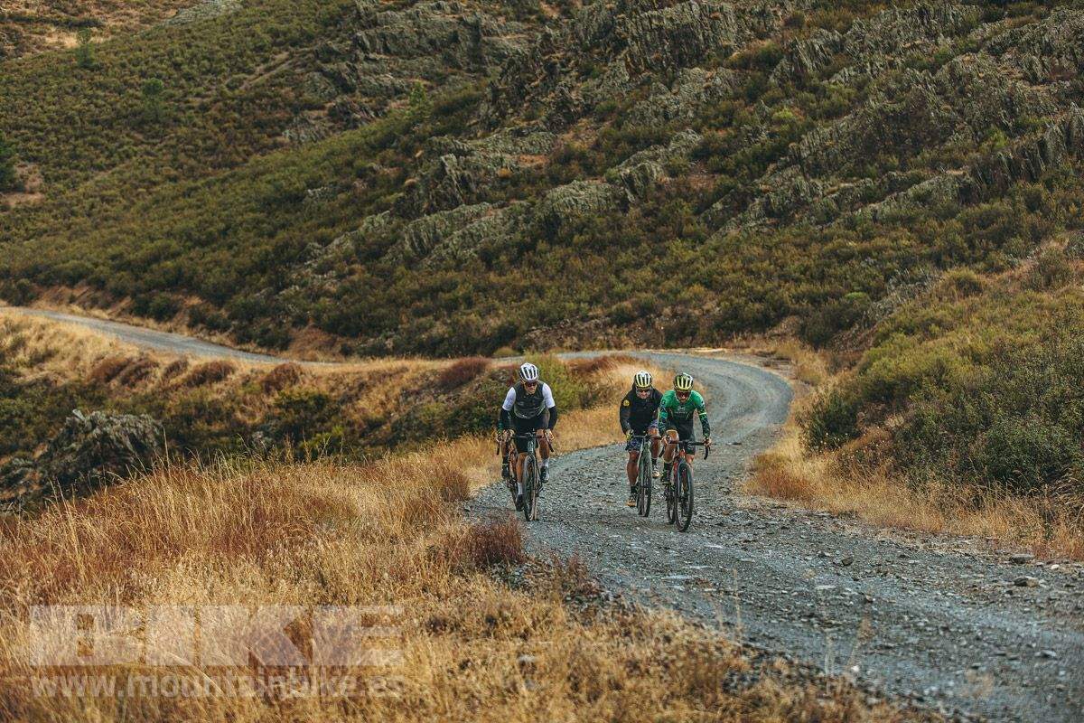 Scott Addict Gravel 10 (14)