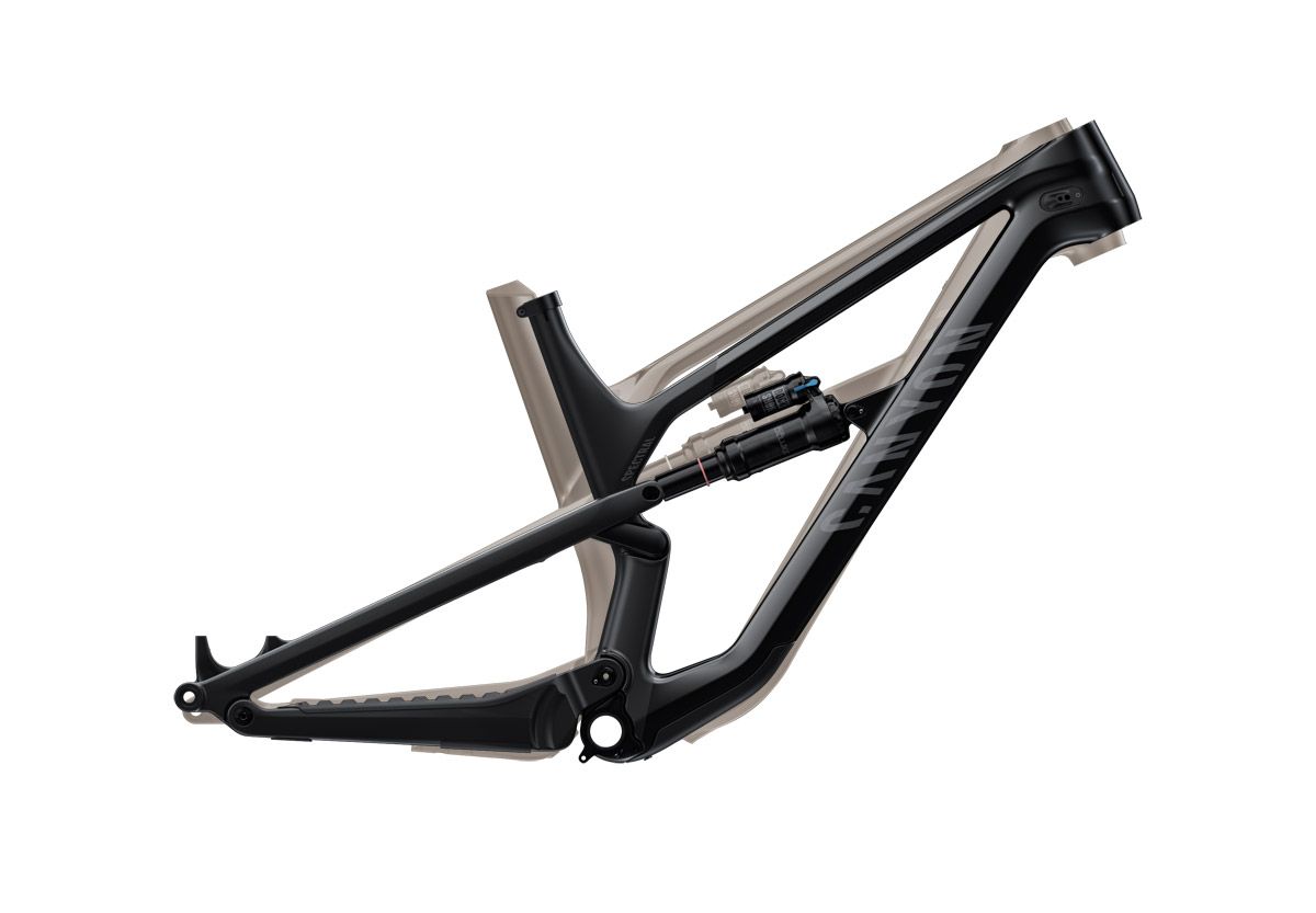 Canyon Spectral 29 2021 (9)