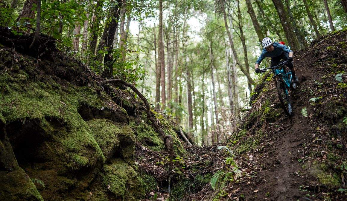 Cómo afrontar una bajada vertical Cómo afrontar una bajada vertical