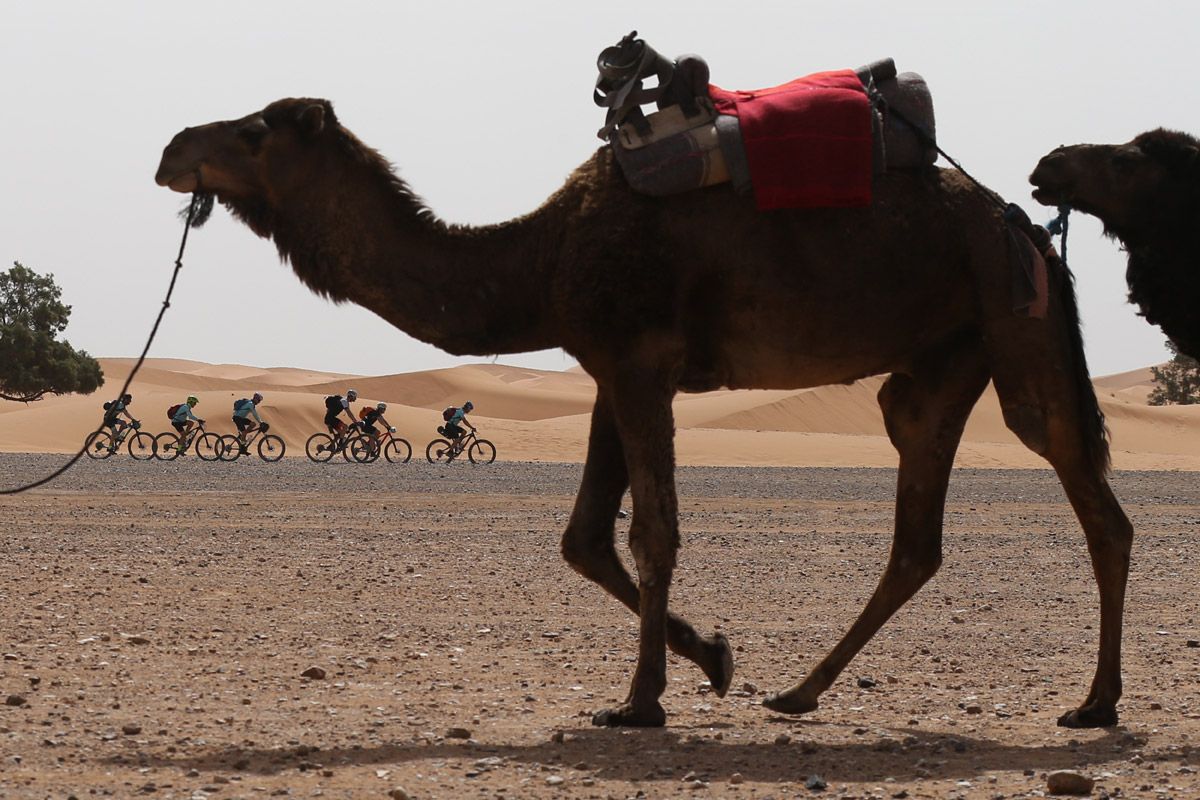 La Titan Desert de vuelta en  África (1)