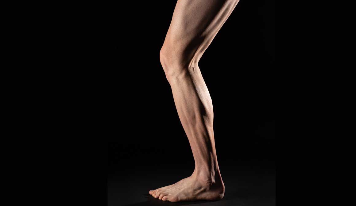 ¿Qué tipo de musculatura tengo?