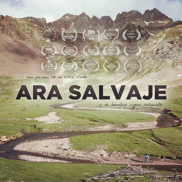 Ara Salvaje y Osole Visual 1