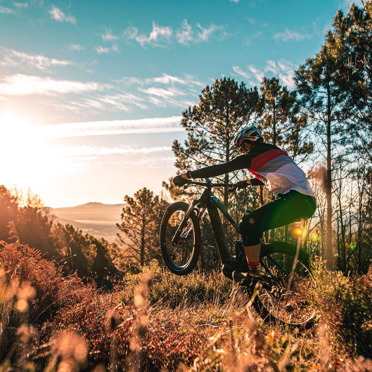 Mondraker MIND.Máximo control sobre tus suspensiones accion 2