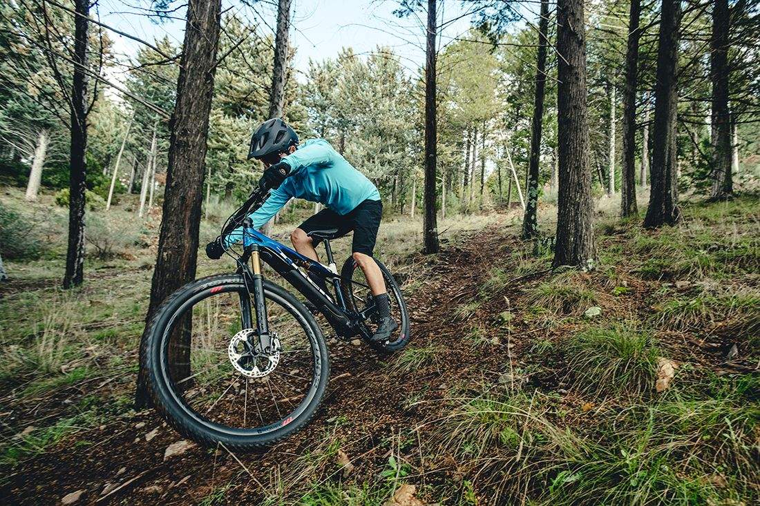 Trek eCaliber 2021 13