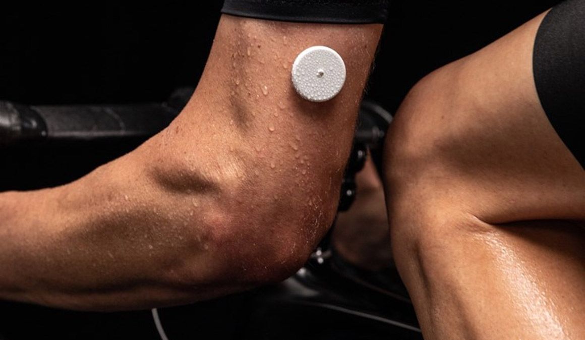 el sensor antipajaras de 3 gramos el sensor antipajaras de 3 gramos