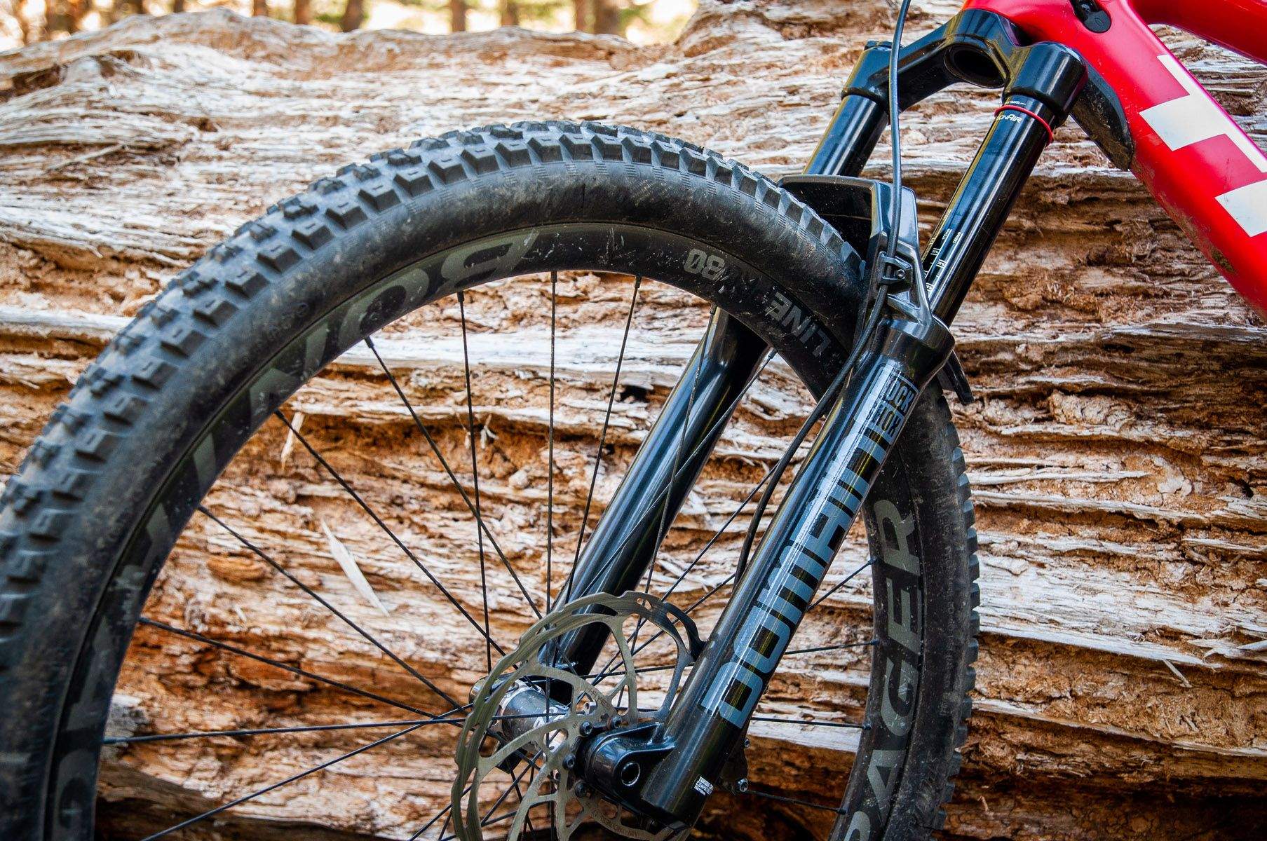 RockShox Domain 