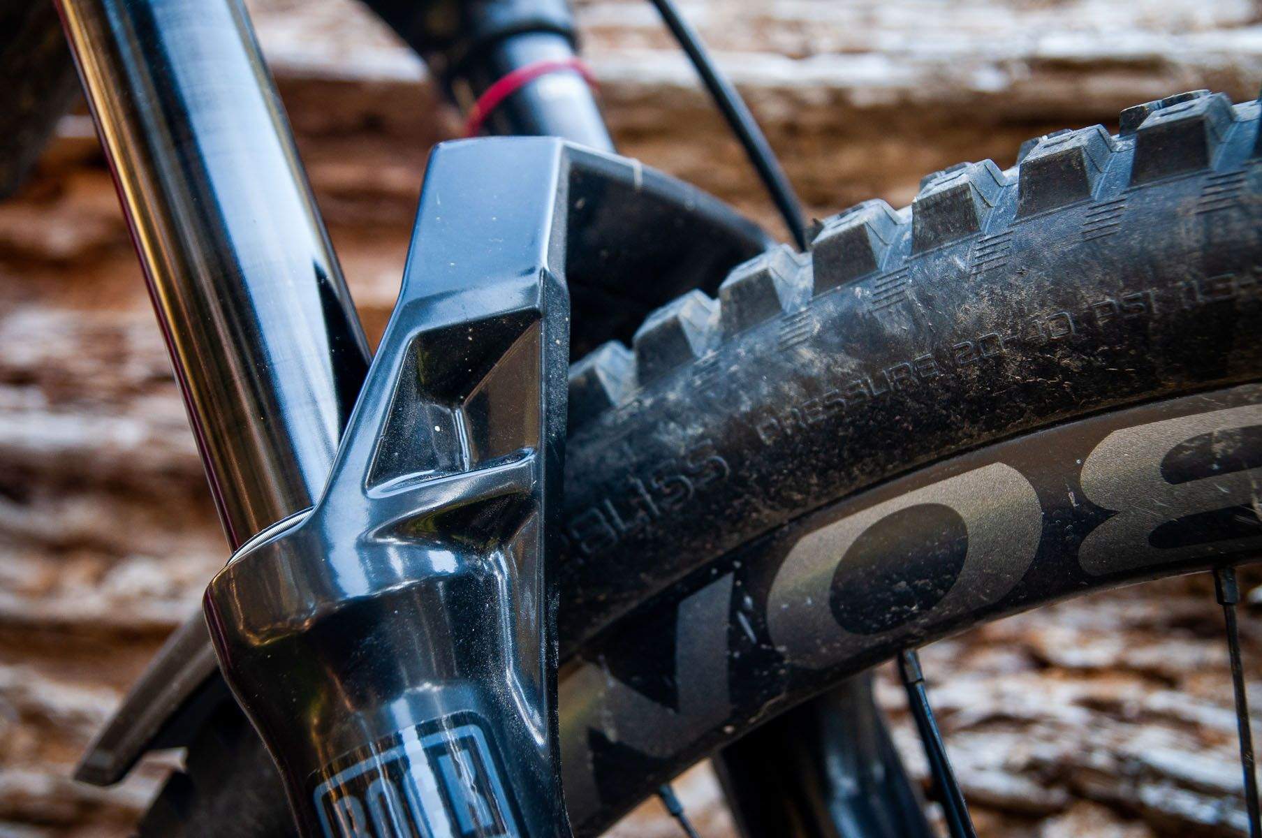 RockShox Domain (37)