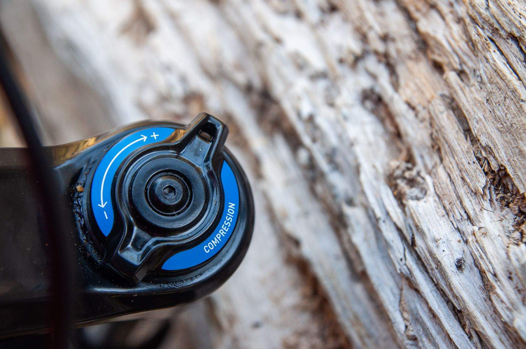 RockShox Domain