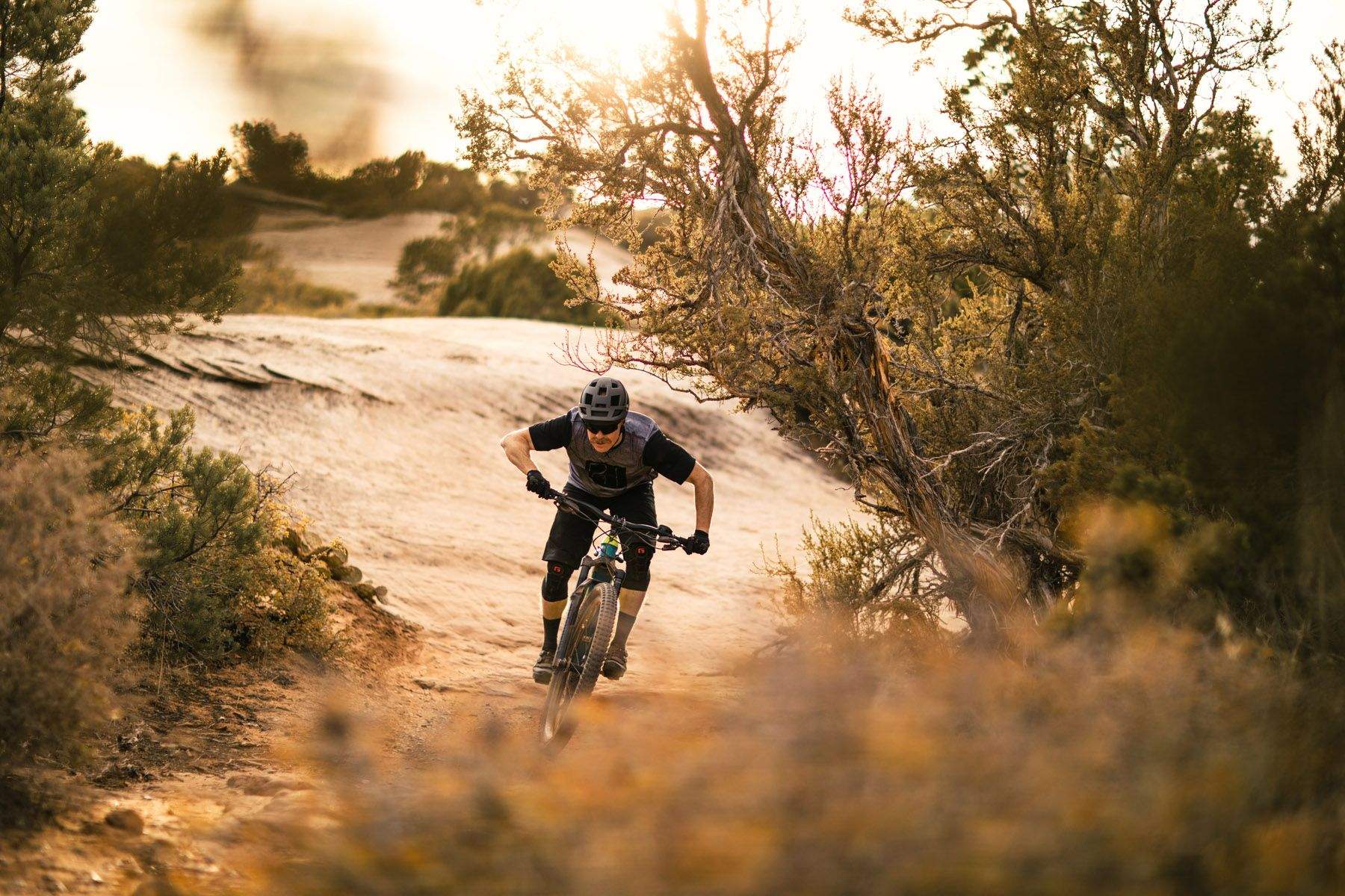 RockShox Domain