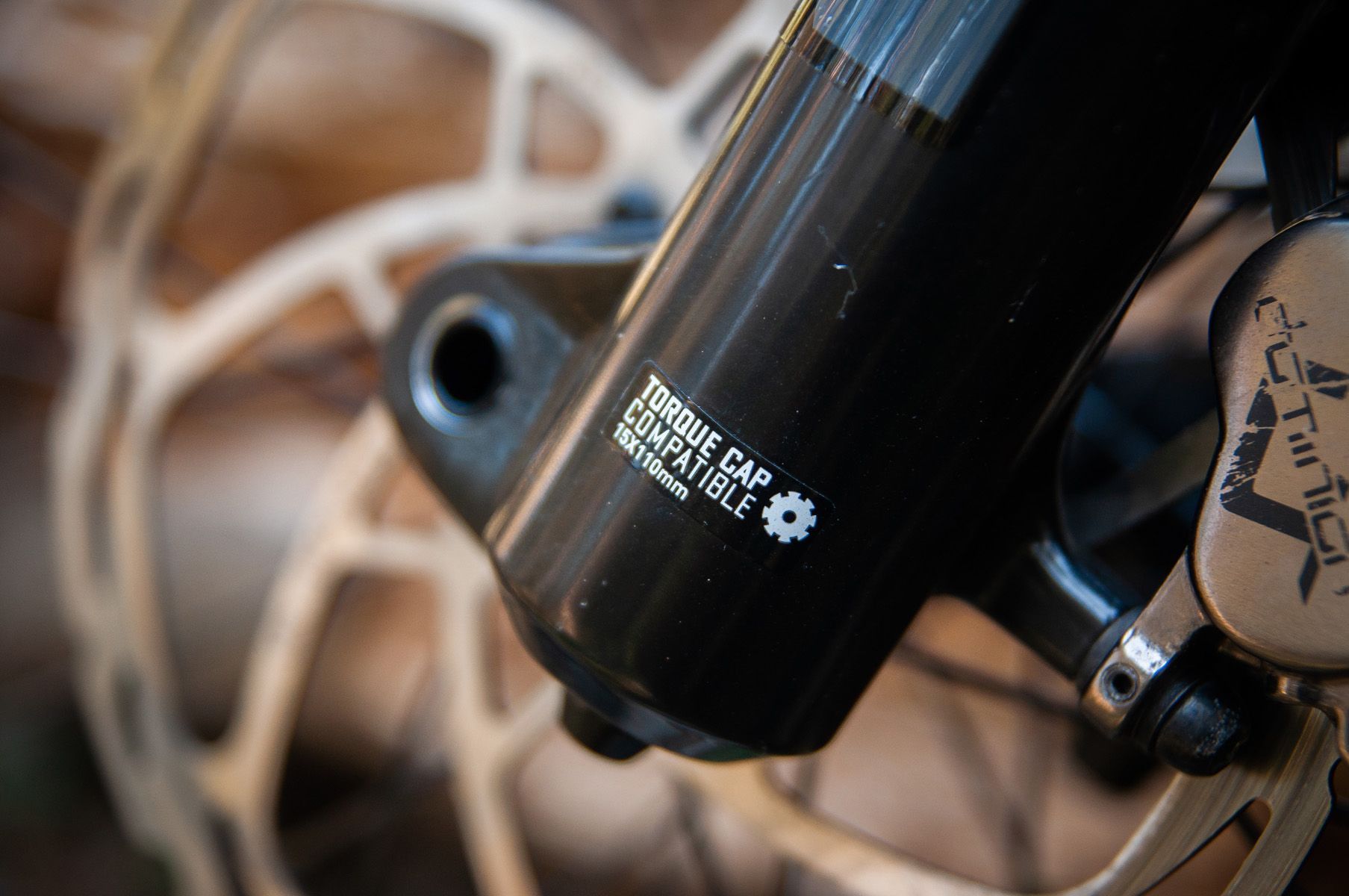 RockShox Domain