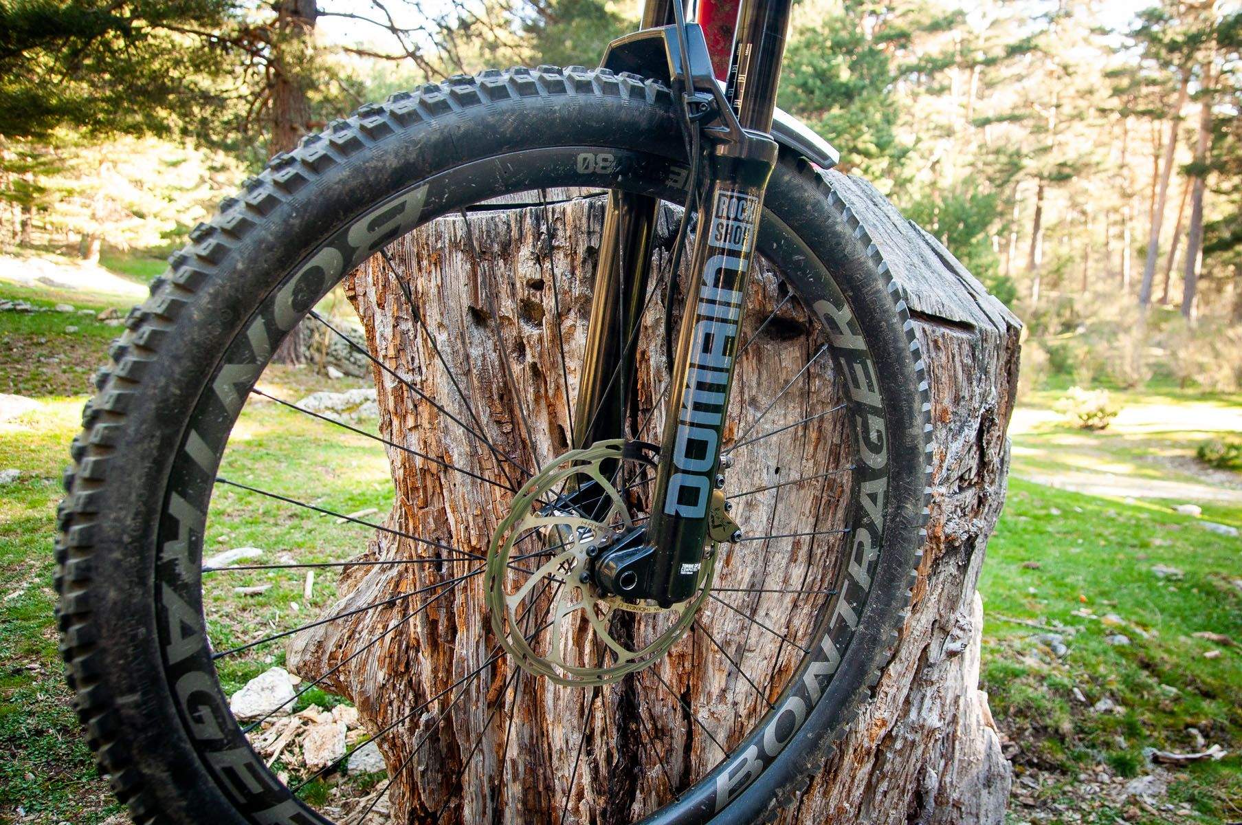 RockShox Domain