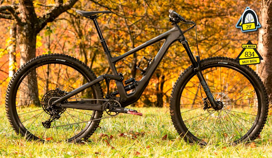 Specialized Specialized
