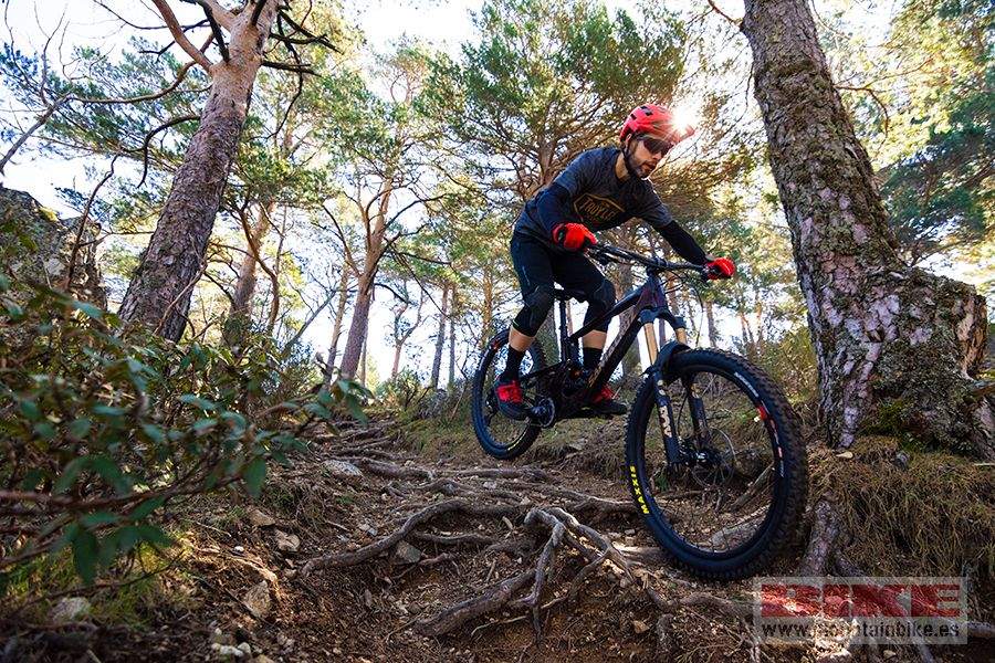 Accion Santa Cruz Nomad (4)