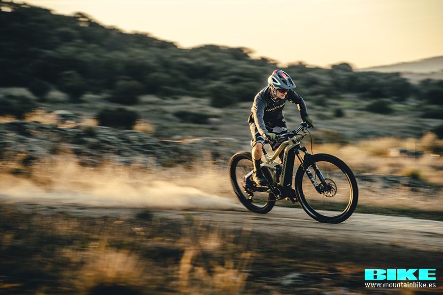 Haibike accion 12