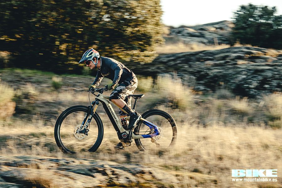Haibike accion 3