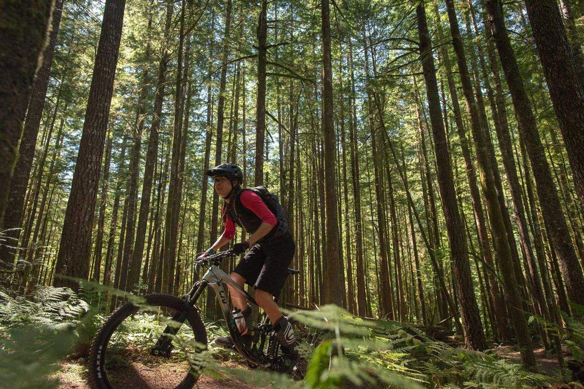 MTB de la Mujer 20231. Estas son las bicis oficiales detalle