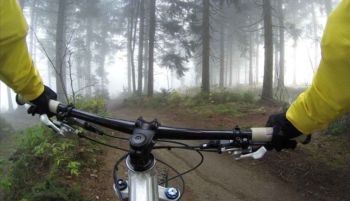 Descubre quiénes son los ciclistas que tienen más probabilidades de acudir a Tokio 2021