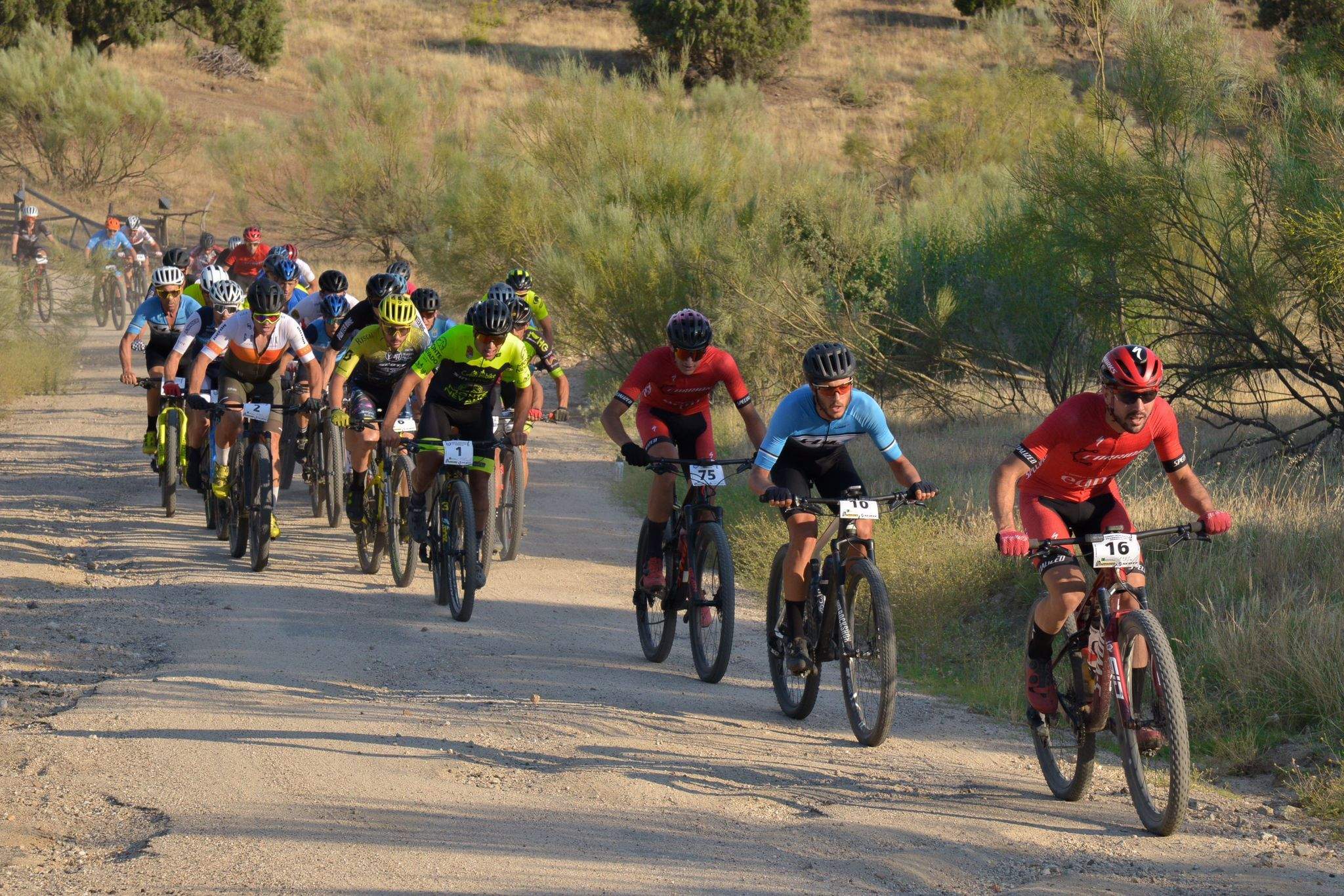 Sunset MTB Race Sunset MTB Race