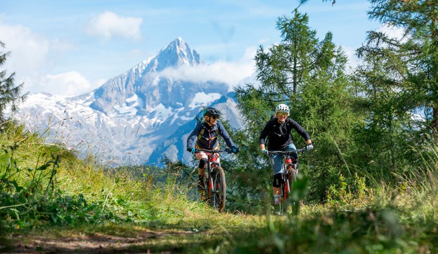 Bosch crea el modo Tour+ de asistencia dinámica y progresiva Bosch crea el modo Tour+ de asistencia dinámica y progresiva