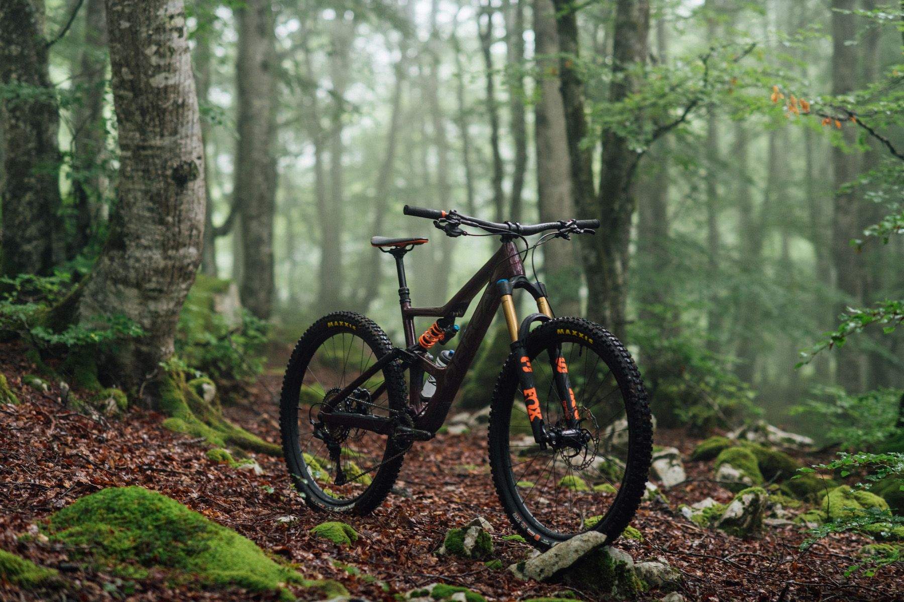 Occam M 10 LT 1