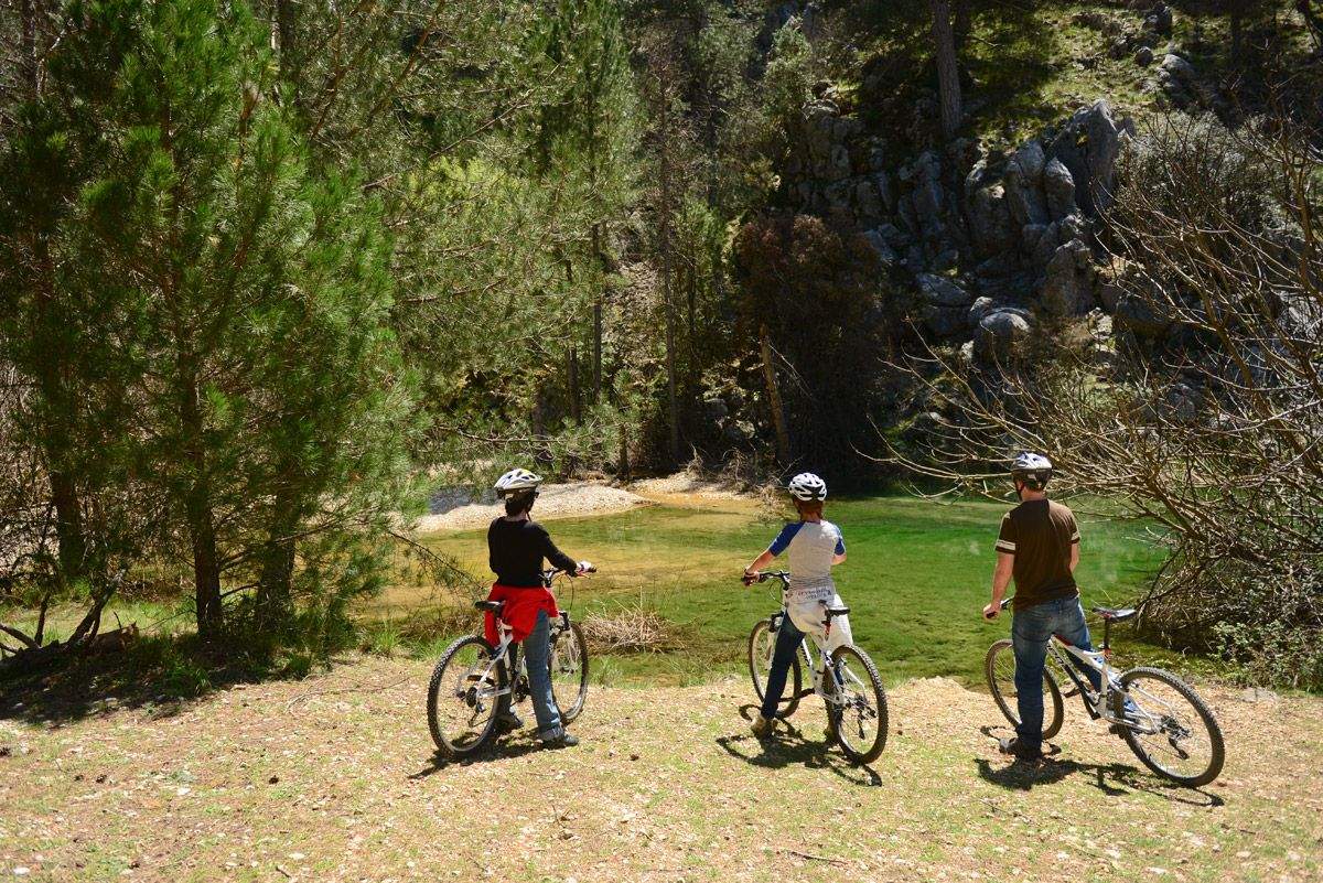 Andalucía. tu destino MTB. Bosques del Sur 3