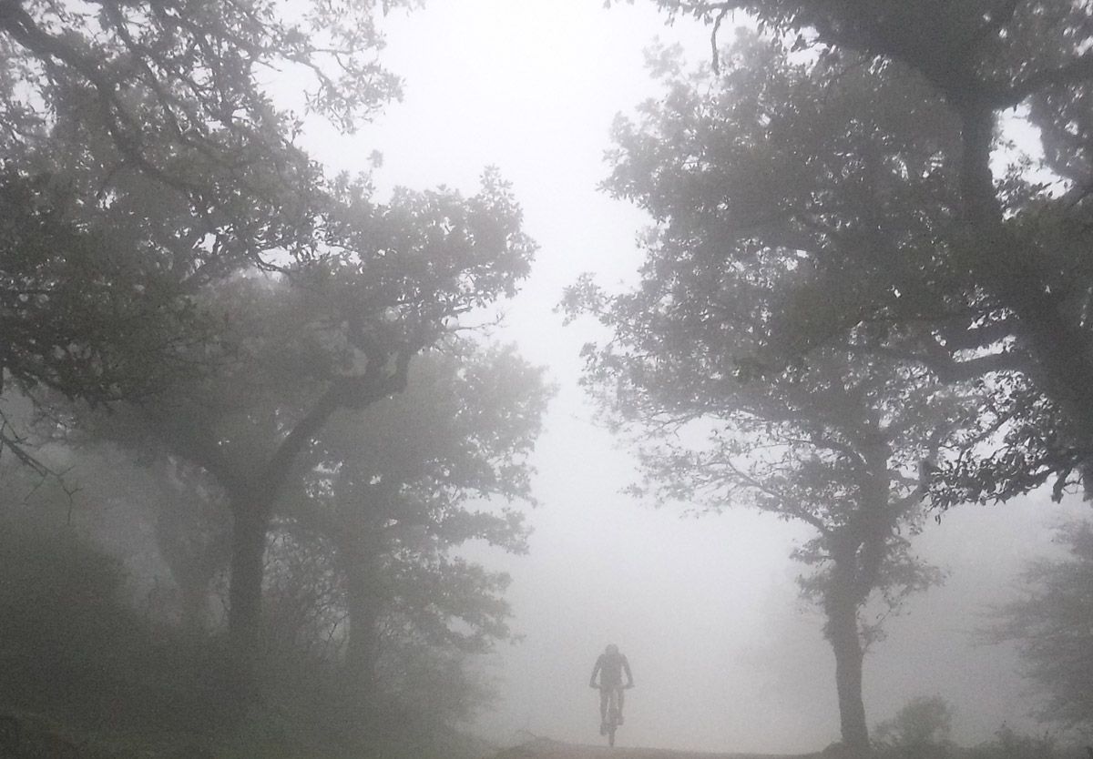 Andalucía. tu destino MTB. Centro BTT Alcornocales