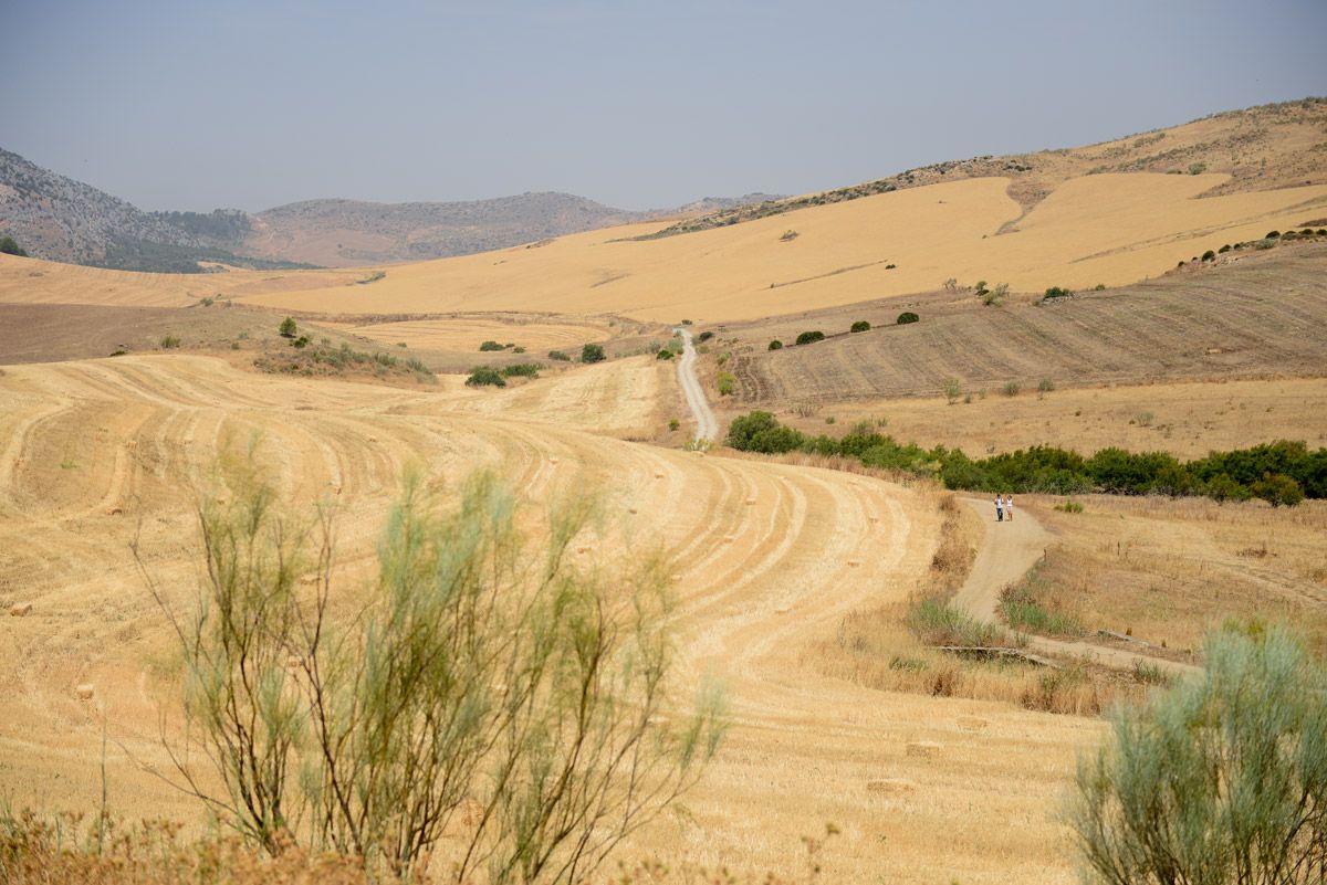 Andalucía. tu destino MTB. Malaga 2