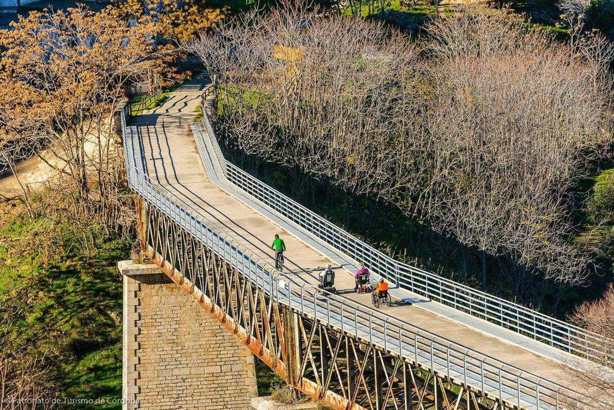 Andalucía. tu destino MTB. Via Verde Aceite