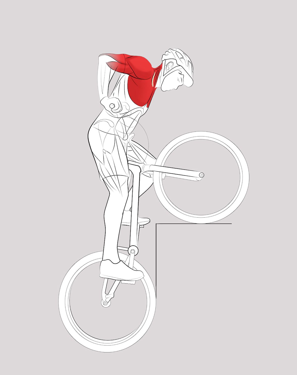 Así se ha diseñado la nueva bici de Sergi Llongueras imagen 4 1