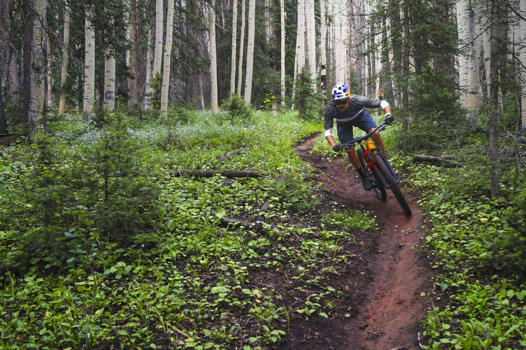 Trek Top Fuel 2022