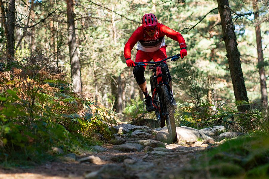 Accion RockShox Flight Attendant (4) Accion RockShox Flight Attendant (4)